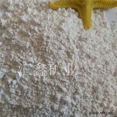 汇鑫 轻质碳酸钙 1250目**轻钙粉  油漆 涂料用轻钙粉图3