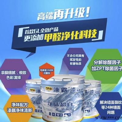 涂霸漆 内墙涂料 室内涂料 乳胶漆 涂料 油漆 净味超白 可调色