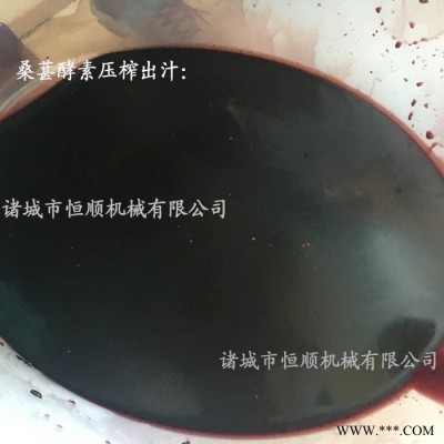 工业油渣、汽车机油油渣固液分离设备  油漆渣过滤设备图7