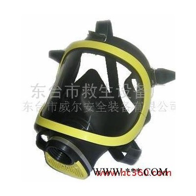 供应防毒面罩 防毒气全面罩 防毒面具 防油漆全面罩  空气呼吸器面罩图5