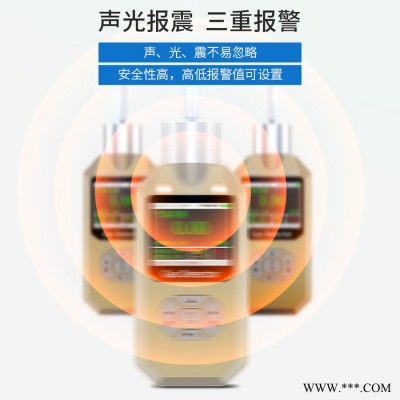 普利通PLT300-EX工业防爆可燃气体探测报警器 液化气燃气 油漆酒精天然气泄漏检测仪图1