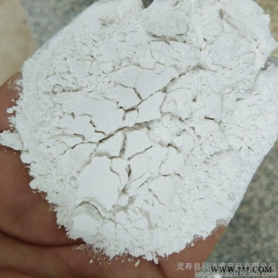 辰洋供应高岭土 上海饲料级高岭土 油漆用煅烧高岭土 型号齐全图5