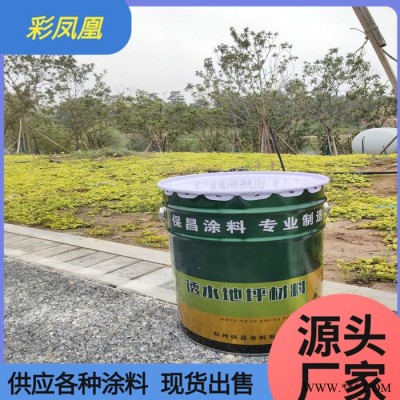 彩凤凰供应路面改色地坪漆涂料 透水地坪漆 水泥路面改色剂 地面施工油漆厂家图5
