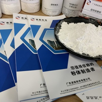 广东源磊粉体超细重质碳酸钙 乳胶漆 油漆 塑料 专用 广东重钙 1250目图2