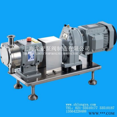 提供RP38-30变频增压转子泵组 1.5KW油漆泵加工图4