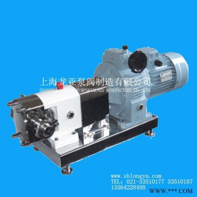 提供RP38-30变频增压转子泵组 1.5KW油漆泵加工图2