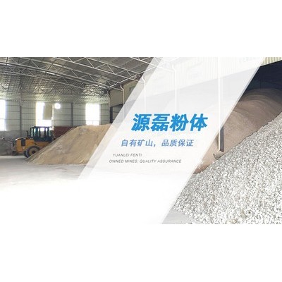 广东源磊粉体 供应油漆专用透明粉 800目透明粉 塑料用透明石粉 规格齐全