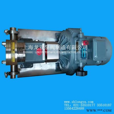 出售LQ3A-28油漆涂料转子泵 RP108-320高粘度糖蜜泵图3
