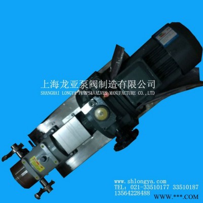出售LQ3A-28油漆涂料转子泵 RP108-320高粘度糖蜜泵图1