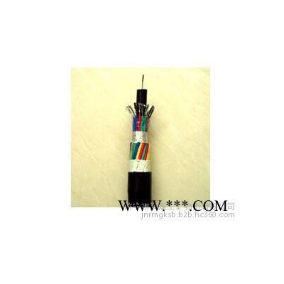 变频器专用电力电缆**，变频器专用电力电缆供应各种规格和型号，变频器专用电力电缆图3