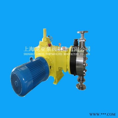 上海龙亚泵业有限公司供应XL小流量泵油漆双隔膜计量泵图3