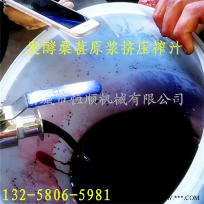 发酵中药渣酵素过滤机 蓝莓杨梅果酒汁提取压榨机  油漆渣挤压脱水机图3