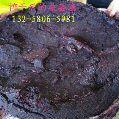 发酵中药渣酵素过滤机 蓝莓杨梅果酒汁提取压榨机  油漆渣挤压脱水机图7