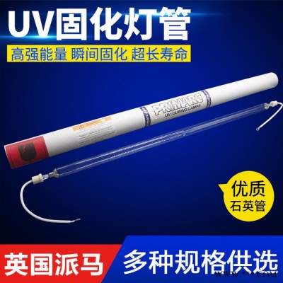进口固化灯英国派马灯Primarc原装 UV紫外线光固化灯 油漆胶水硬化干燥高压汞灯图4
