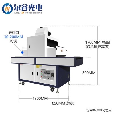 LY600-2BY6 12KW紫外线UV固化机传送带式 UV树脂油漆光固化设备图5