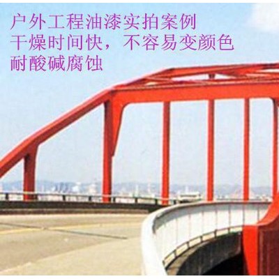 优彩直销户外耐黄变 干燥时间快 工程油漆 富锌油漆 氟碳油漆图3