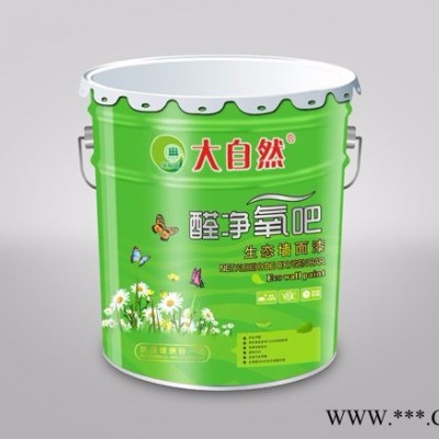 大自然牌外墙漆 广东油漆涂料 广东油漆 广东油漆价格图2