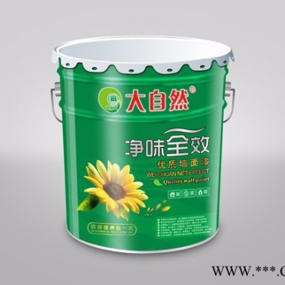 大自然牌外墙漆 广东油漆涂料 广东油漆 广东油漆价格图6