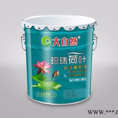 大自然牌外墙漆 广东油漆涂料 广东油漆 广东油漆价格图1