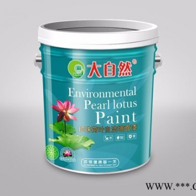 大自然牌外墙漆 广东油漆涂料 广东油漆 广东油漆价格图8