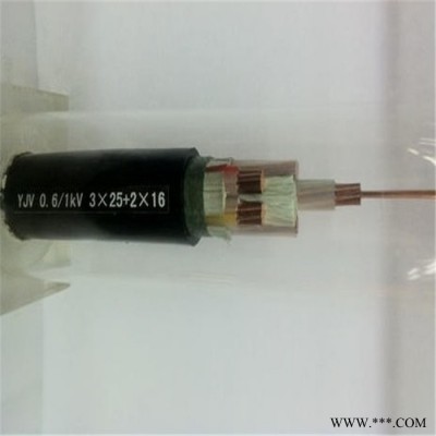【天联品牌】BPYJVP3*16+3变频器专用电缆按需定做图5