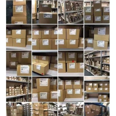 6SL3244-0BB13-1FA0， 西门子伺服工程变频器  西门子制动模块 西门子紧凑型异步电机  西门子控制模块图2