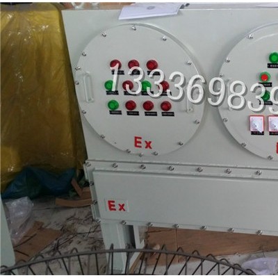 厂用防爆变频器BQXR51系列 防爆变频箱图3