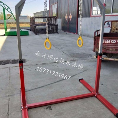 儿童吊环少儿体适能器材升降吊环运动体育健身教具图3
