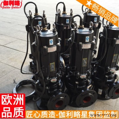 的厂潜不锈钢垫双叶轮污北京厂家水体泵头图6