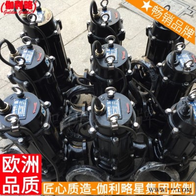 的厂潜不锈钢垫双叶轮污北京厂家水体泵头图3