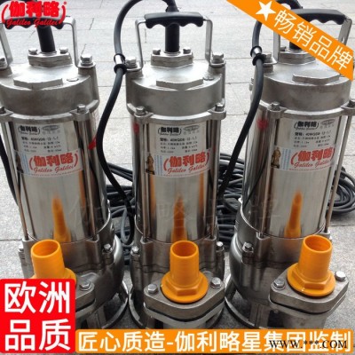 的厂潜不锈钢垫双叶轮污北京厂家水体泵头图2