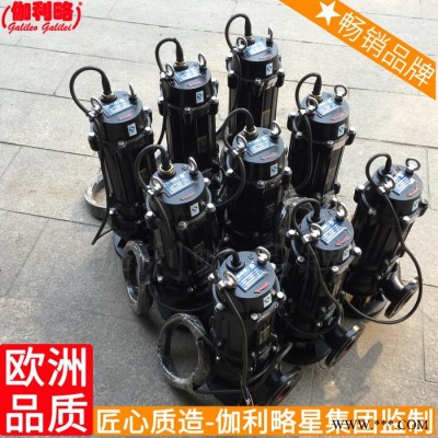 的厂潜不锈钢垫双叶轮污北京厂家水体泵头图7