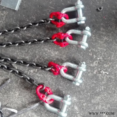 神州SW020定制 G80锰钢起重工具链条 吊索具挂钩吊具模具吊环吊钩连接扣吊链图4