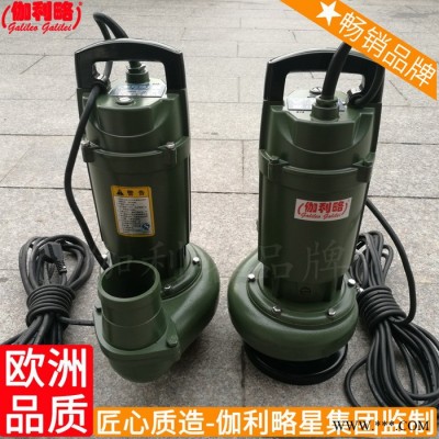 sp1.5-32-0.75双叶轮潜水电qdx单相潜水泵图3