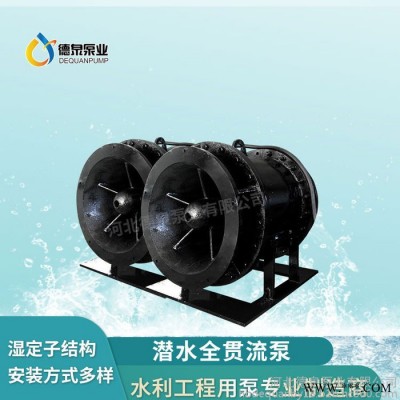 叶轮内置式贯流泵 全贯流潜水泵 大型湿定子贯流泵厂家图4