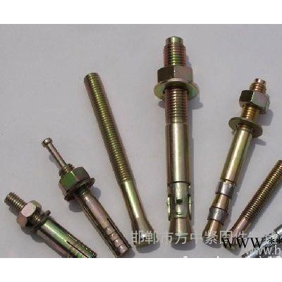 专业生产重型吊钩膨胀壁虎，三片，四片壁虎，吊环壁虎，车修壁虎图2