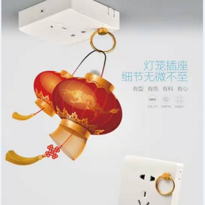 灯笼插座，五孔带铜环灯笼插座。带吊环灯笼插座，明装灯笼插座厂家图2