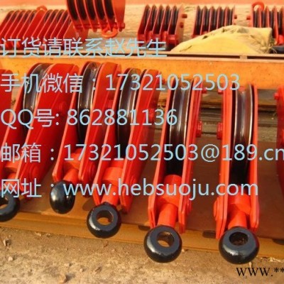 挪威PPU索具 起重滑车组 吊钩式起重滑车 吊环式起重滑车 卸扣式起重滑车图5