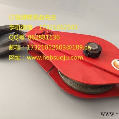 挪威PPU索具 起重滑车组 吊钩式起重滑车 吊环式起重滑车 卸扣式起重滑车图6