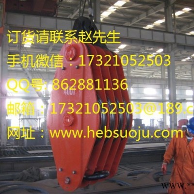 挪威PPU索具 起重滑车组 吊钩式起重滑车 吊环式起重滑车 卸扣式起重滑车图4