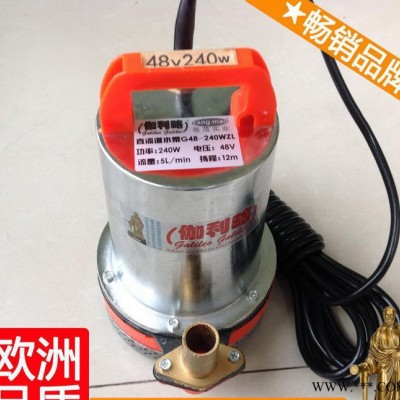直流电动潜水泵 12v叶轮水泵 12v洗车水泵 良品新图2