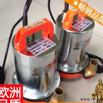 直流电动潜水泵 12v叶轮水泵 12v洗车水泵 良品新图1