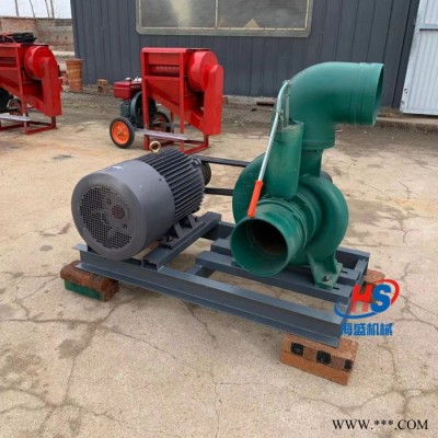 海盛HS-780-250 柴油单缸抽水泵轴连接水泵8寸大叶轮抽水泵图4