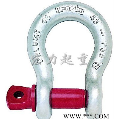 武汉供应 【美标卸扣】G209 G210 国标卸扣 卡环 吊环图1