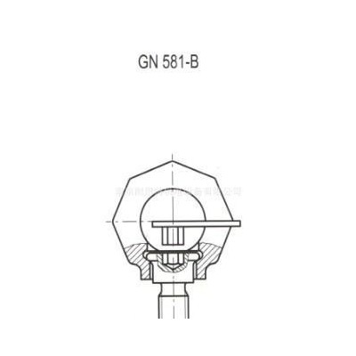 粉红色GN 581 螺栓吊环（可旋转）图3
