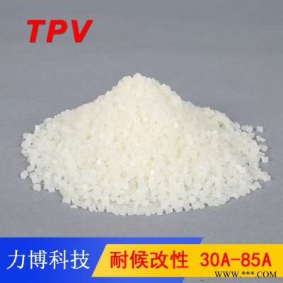 TPV盖子密封件图4