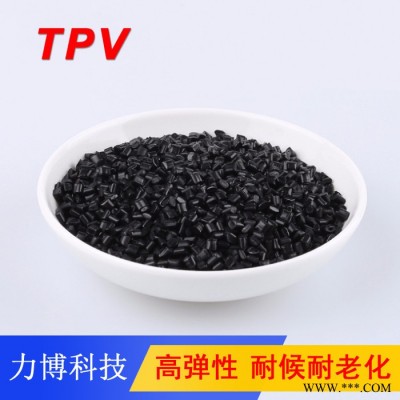 TPV盖子密封件图2