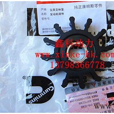 直销奥兰CUMMINS柴油机组配件，奥兰康明斯海水泵叶轮05411519图2