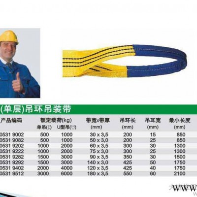 进口材料 高强度高安全系数 扁平（单层）吊环吊装带图2