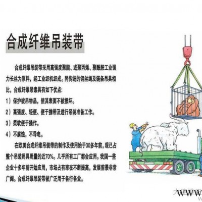进口材料 高强度高安全系数 扁平（单层）吊环吊装带图3